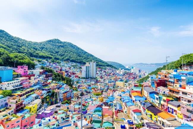Kavaya Travel Group South Korea
