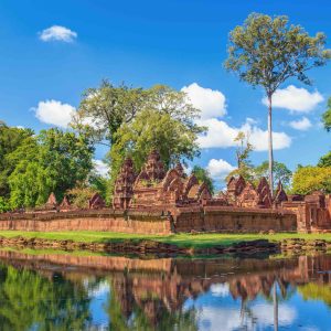 Natural Paradise Of The South