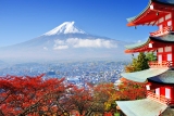 Focus Asia Japan