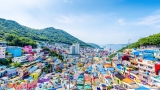 Kavaya Travel Group South Korea
